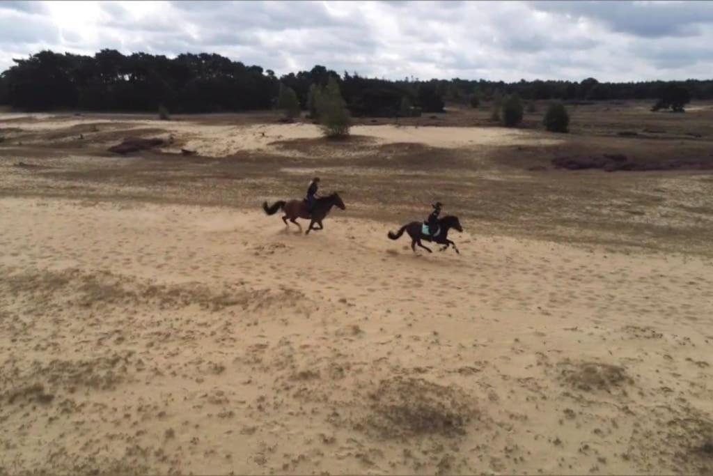 Veluwe Vakantiehuis - Bosuil Lodge Lunteren Luaran gambar