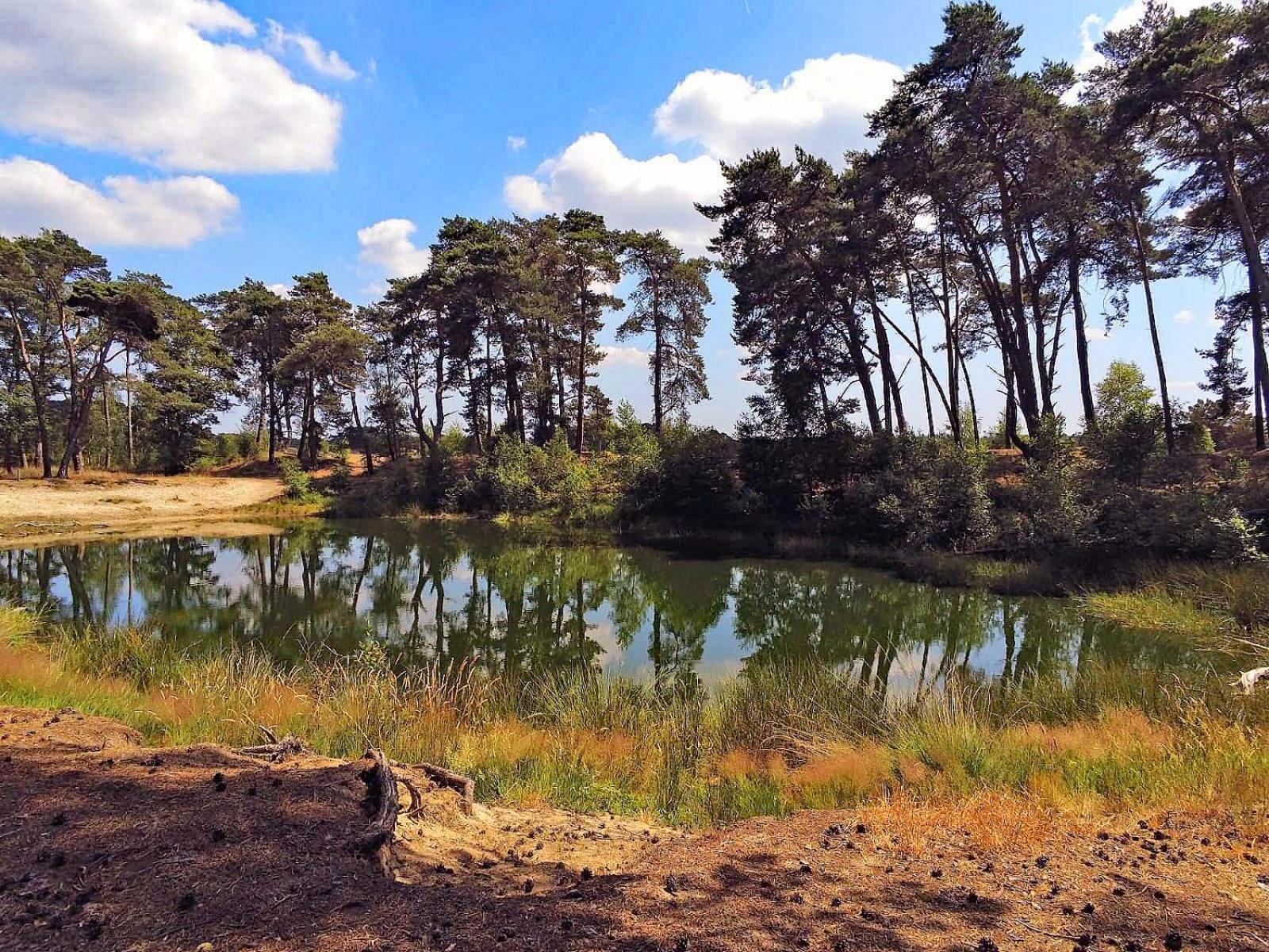 Veluwe Vakantiehuis - Bosuil Lodge Lunteren Luaran gambar